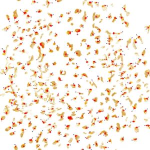 werke 2011 5 20160407