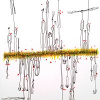 werke 2016 127 20160912