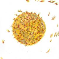 werke 2015 14 20150507