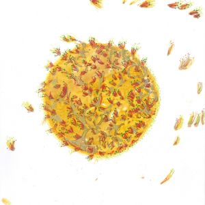 werke 2015 14 20150507