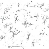 werke 2015 2 5 20151015