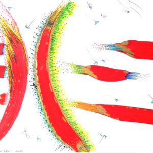 werke 2016 2 20160205