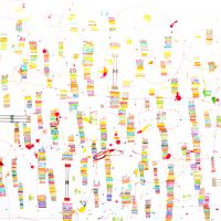 werke 2017 103 20170922