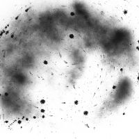 werke 2017 72 20170719